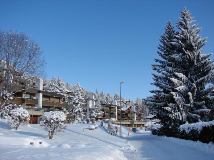 Roc D'Orsay E52 Apartment Leysin Bagian luar foto